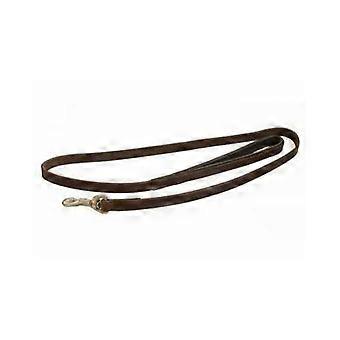 leather dog leash