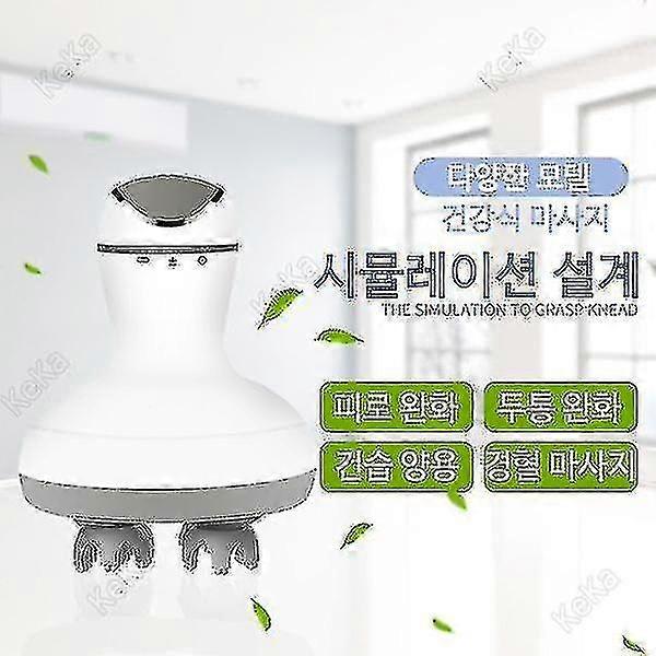 Scalp Massager Head Massager Head Massager