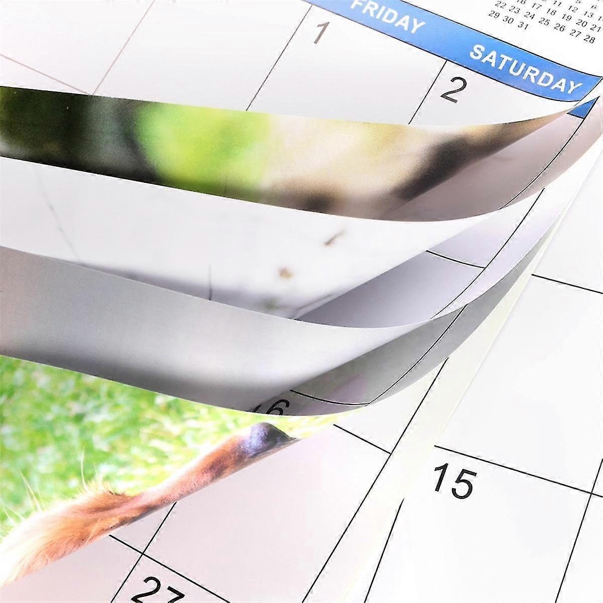 2024 Wall Calendar-2024 Calendar, Jan 2024-dec 2024, 12 Monthly Pooping Calendar 2024