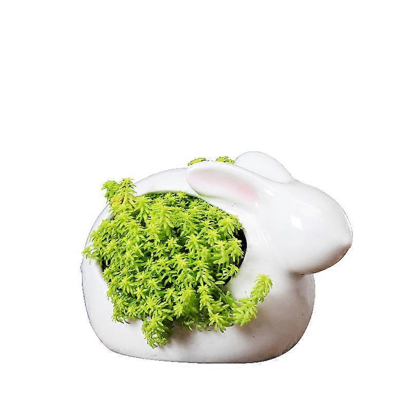Ceramic Plant Pot for Succulent Cute Rabbit Shape
