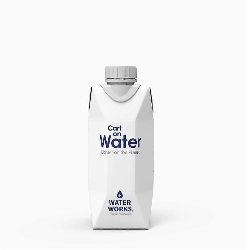 Water Works Carton Water 330ml - Lighter on the Planet
