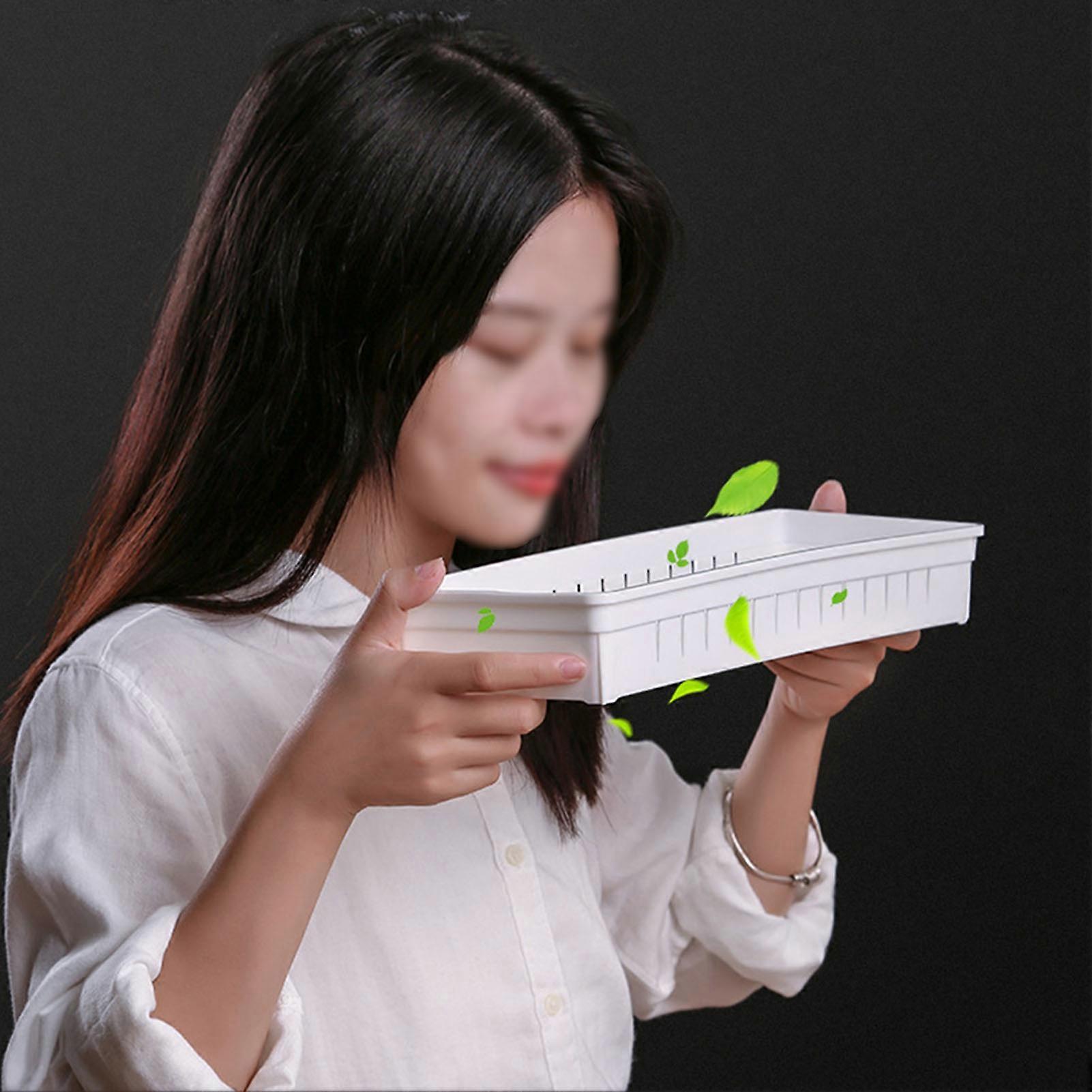 Desk Storage Box Transparent PP Versatile Compartmented Plastic Organizer for Tableware Stationery 