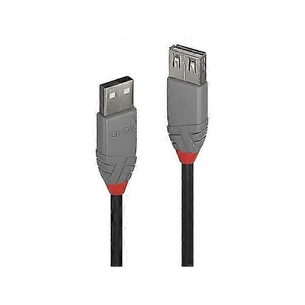 Lindy 36700, 0.2 m, USB A, USB A, USB 2.0, 0.48 Gbit/s, Svart, Grå