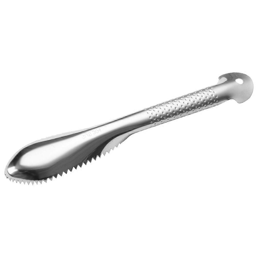 Stainless Steel Fish Scaler with Sharp for Easy and Efficient Fish Cleaning Silver