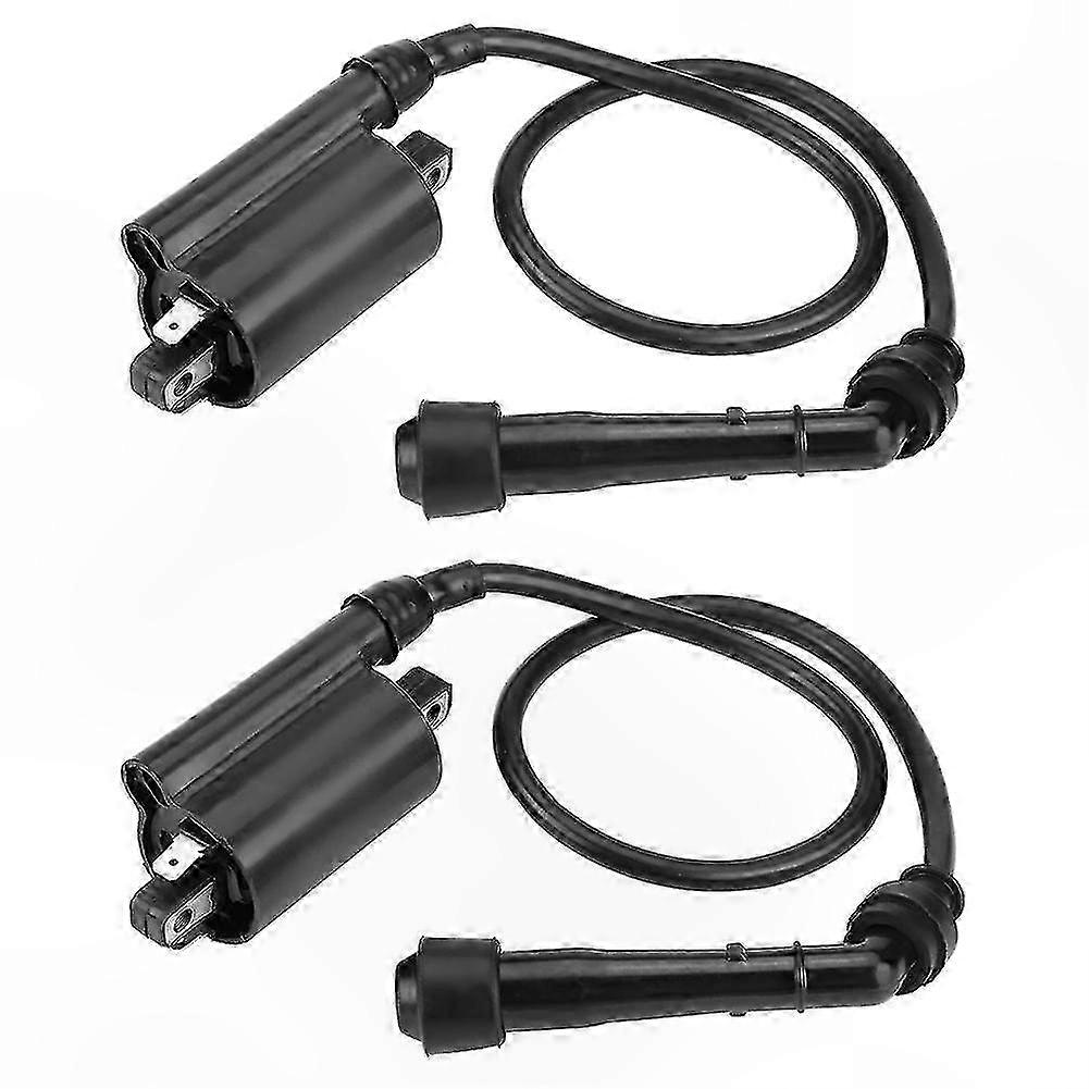 Precision Engineered Ignition Coils, 2-Pack Replacement for Automotive Ignition Systems