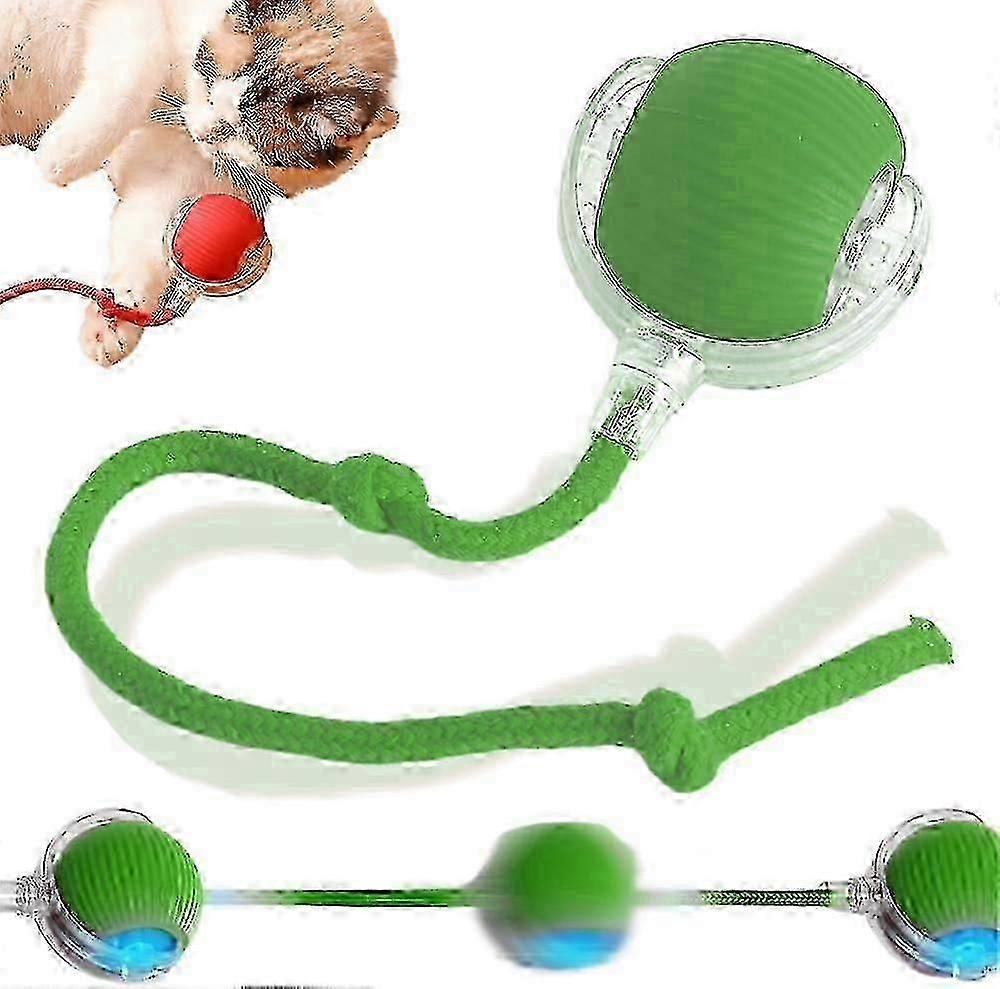 Interactive Dog Ball Toy with Automatic Self Rolling Function for Pets [jkw]