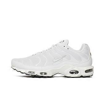 Nike Air Max Plus 604133139 universal all year men