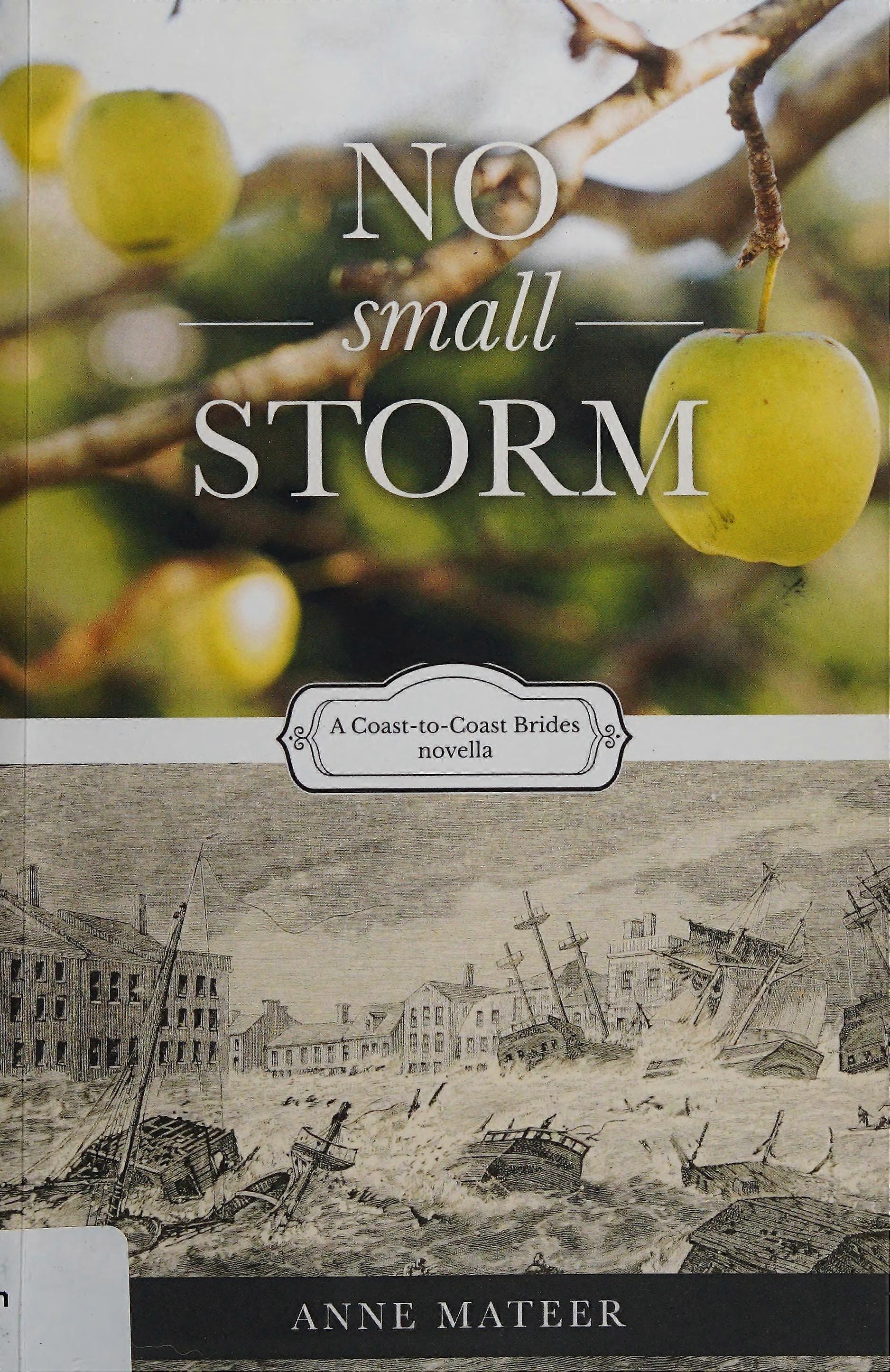 No small storm