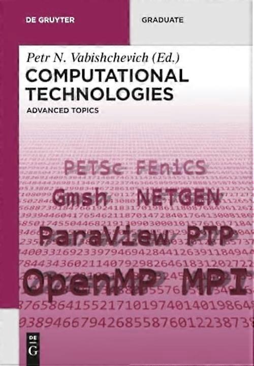 Computational Technologies: Advanced Topics (De Gruyter Textbook)