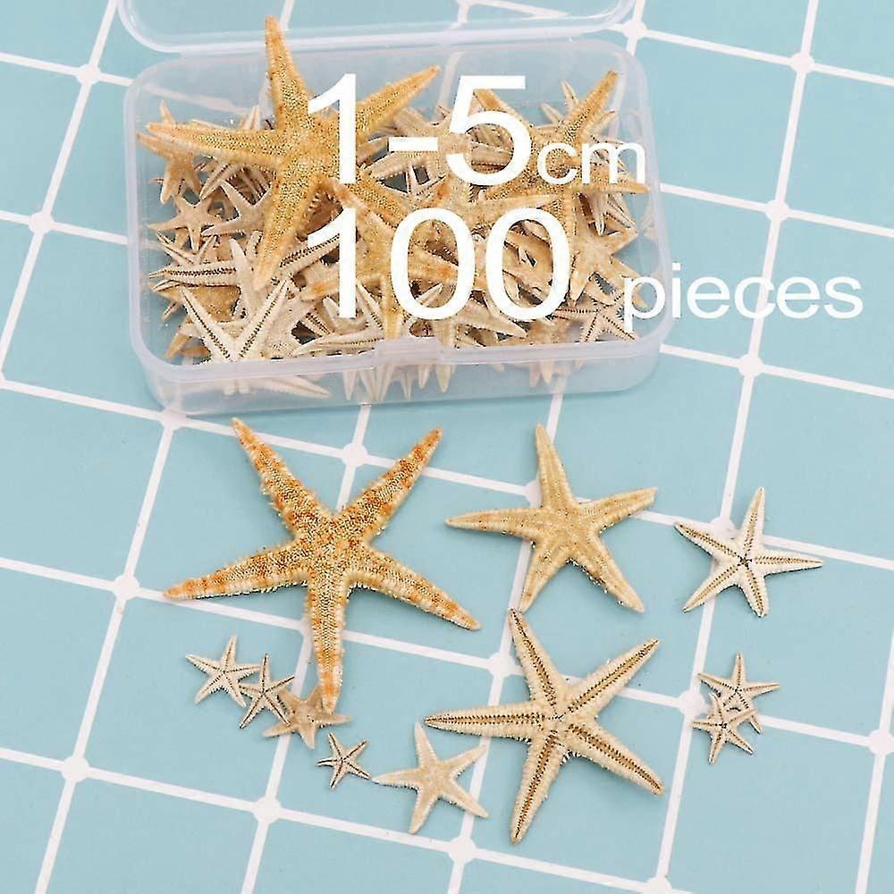 100pcs Starfish Decor Shell Craft Decorative Shell Decor Diy Starfish Decor Shell Decor