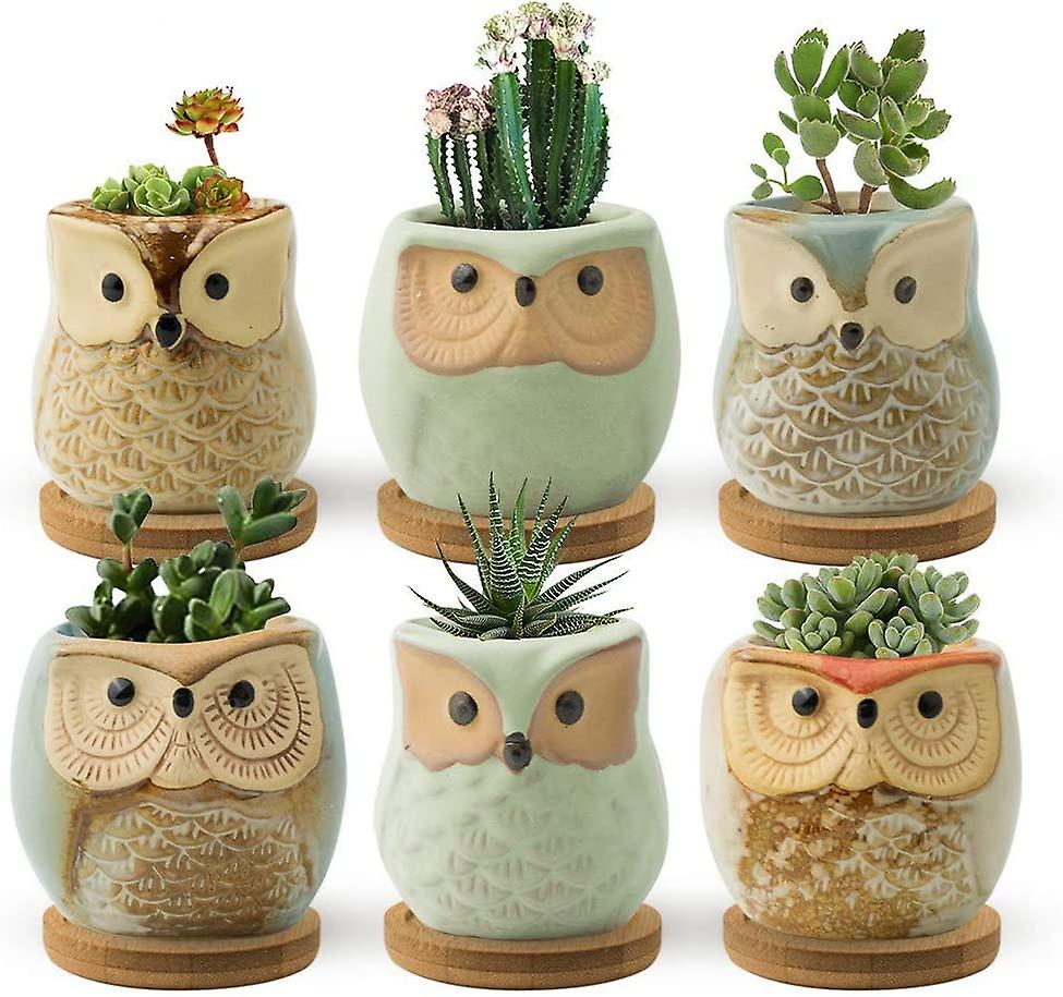 الأواني النضرة ، وعاء نباتات البومة 6.5 سم ، أواني صغيرة للنباتات الصغيرة اللطيفة مع الملحقات ، مثالية