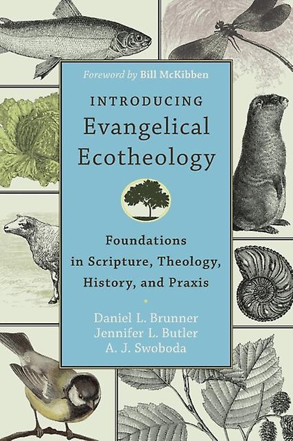 Introducing Evangelical Ecotheology  Foundations In Scripture Theology History A by Bill Mckibben Paperback