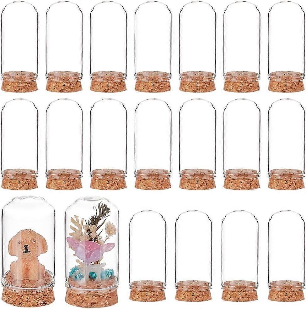20Set Glass Dome Cover Decorative Display Case Cloche Bell Jar Terrarium with Cork Base Arch