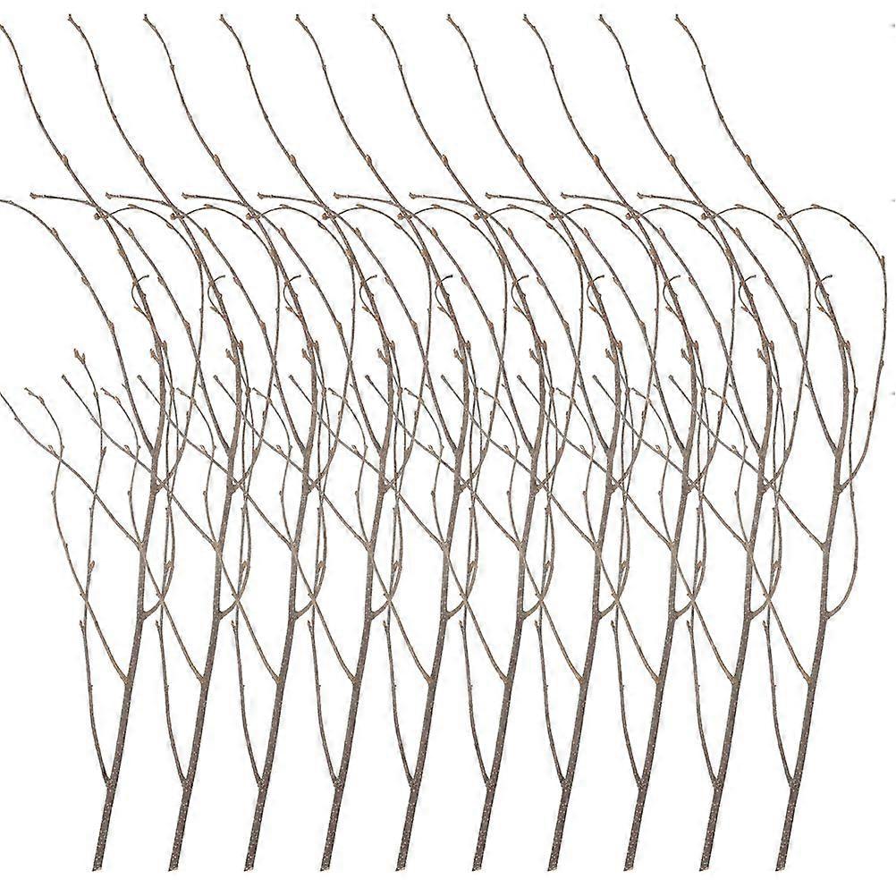 12Pcs Natural Dried Tree Branches DIY Birch Branches Flower Arrangement Branch