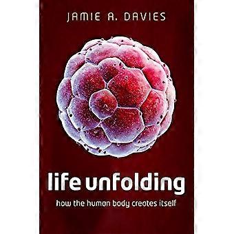 Life Unfolding How the human body creates itself