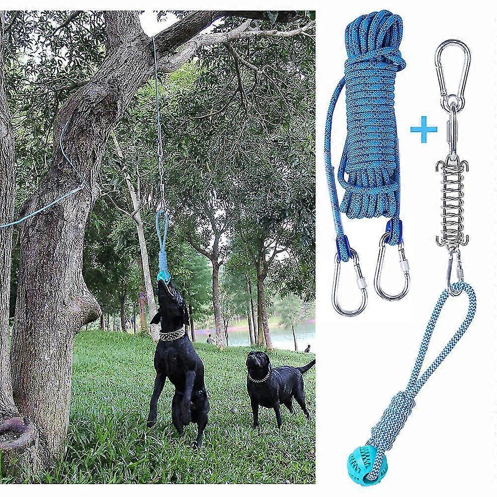 Ensemble de jouets de barre ressort pour chien exercice suspendu en plein air corde de coton jouet de dent de chien Ruikalucky High Quality Philipa G