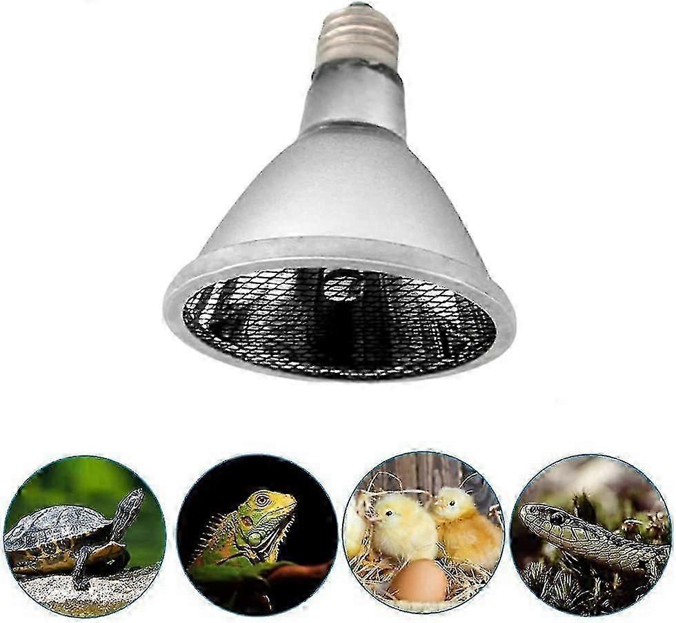 Heat Lamp Infrared Heat Lamp Chicken Coop Heat Lamp 60w(e27)c p