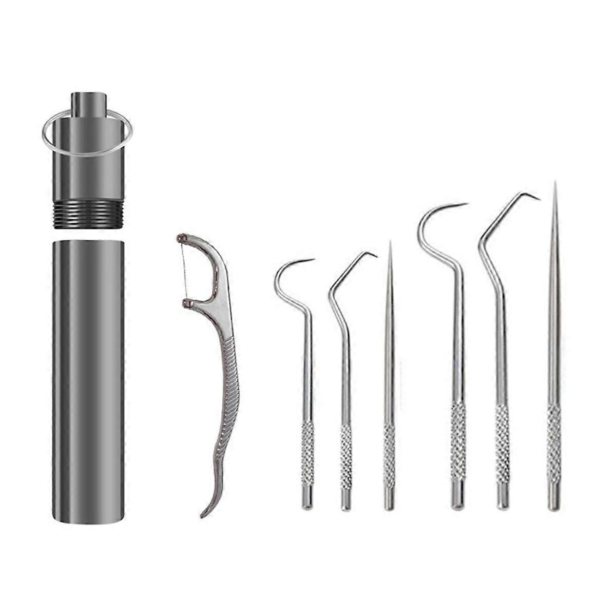 Flossing Metal Toothpicks Set Reusable Toothpicks Portable Toothpick Floss Teeth Cleaner Oral Care Cleaning Tools,B