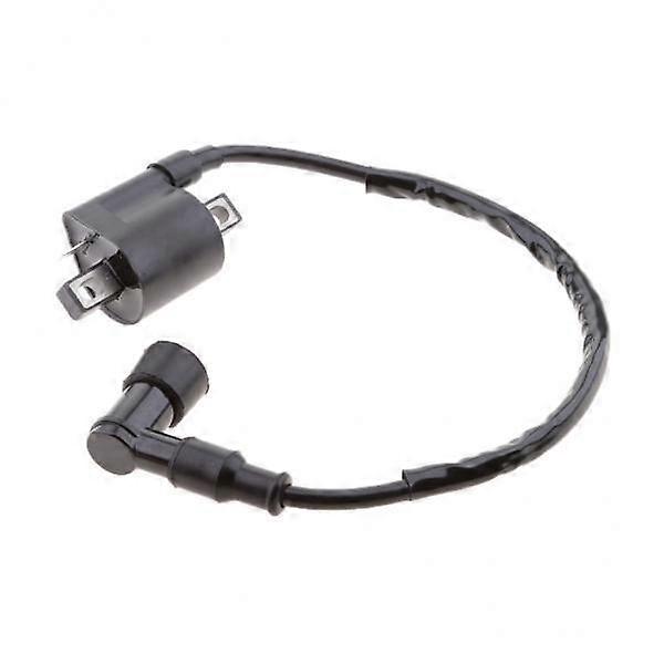 Sleek Ignition Coil Bundle for Scrambler 500 ATV
