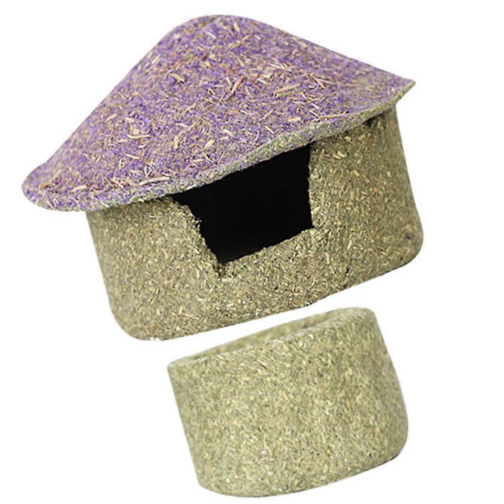 Molar Snack Hedgehog Hideout for Home Use 1Set Assorted Color