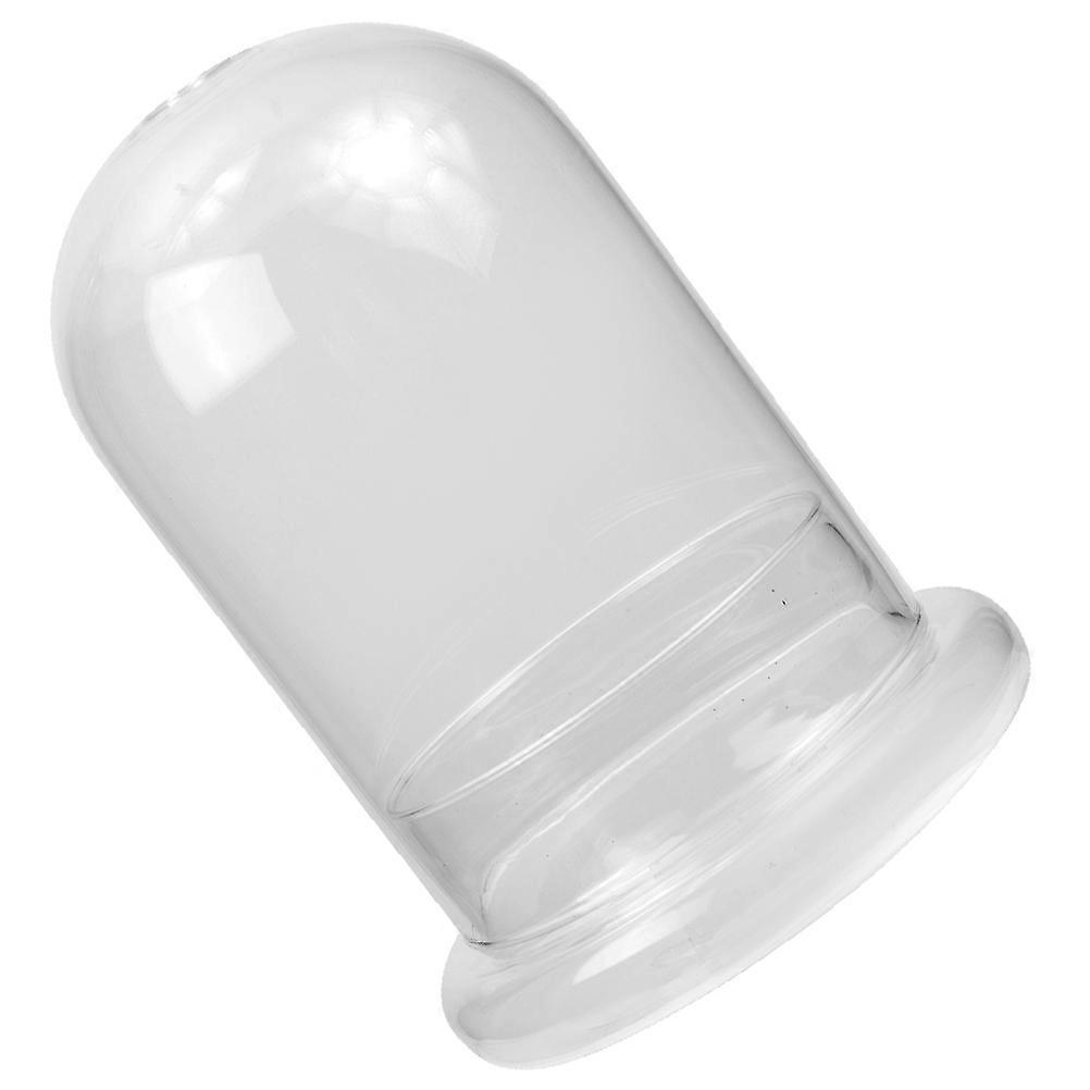 Micro Landscape Planter Bottle for Moss Growing DIY 3Pcs Set