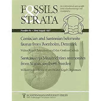 Coniacien en Santonien Belemnite (fossielen en Strata Monograph Series)