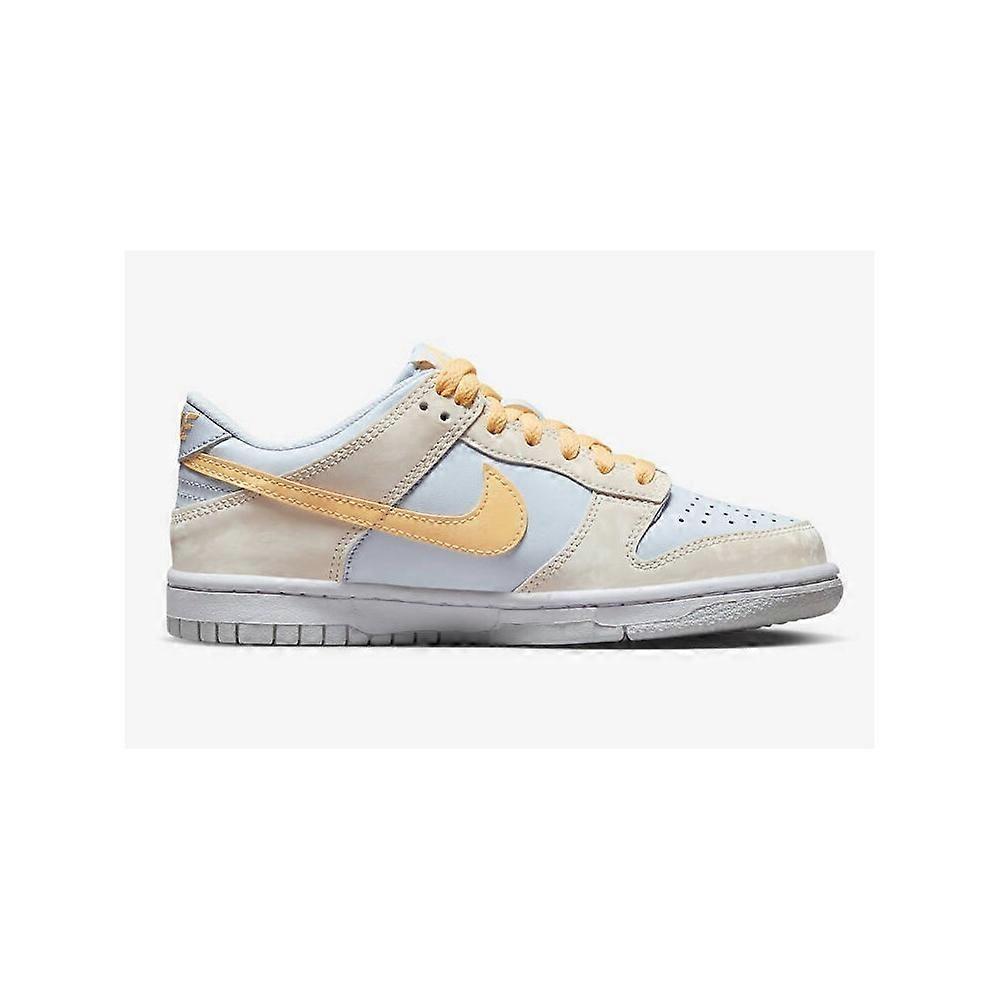 Shoes Nike Dunk Low FB9109100