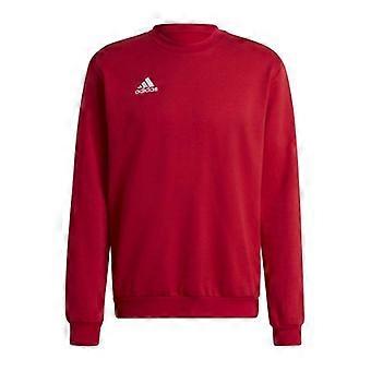Adidas Herren-Sweatshirt Entrada 22 mit Rippkragen
