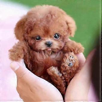 Novo cão robô para adultos de 2025, cão robótico com IA, Nicoo - Meu filhote robô realista que age como um filhote de cachorro de verdade - Andando, latindo, abanando o rabo_c*