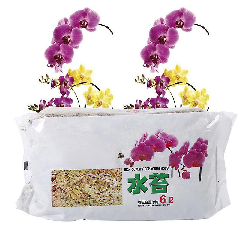12l Sphagnum Moss Moisturizing Fertilizer For Phalaenopsis Orchid