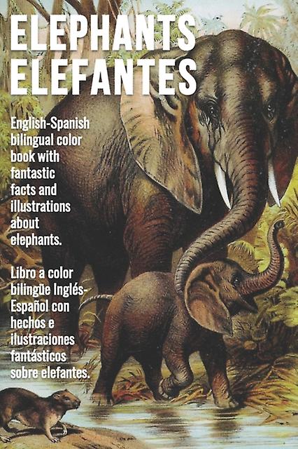 Elephants Elefantes