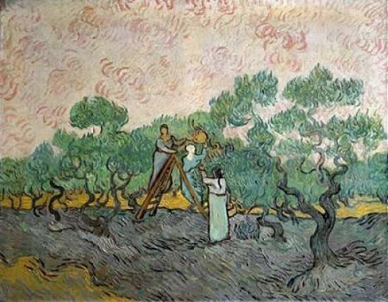 Women Picking Olives Poster