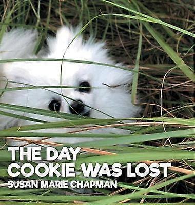 The Day Cookie Was Lost