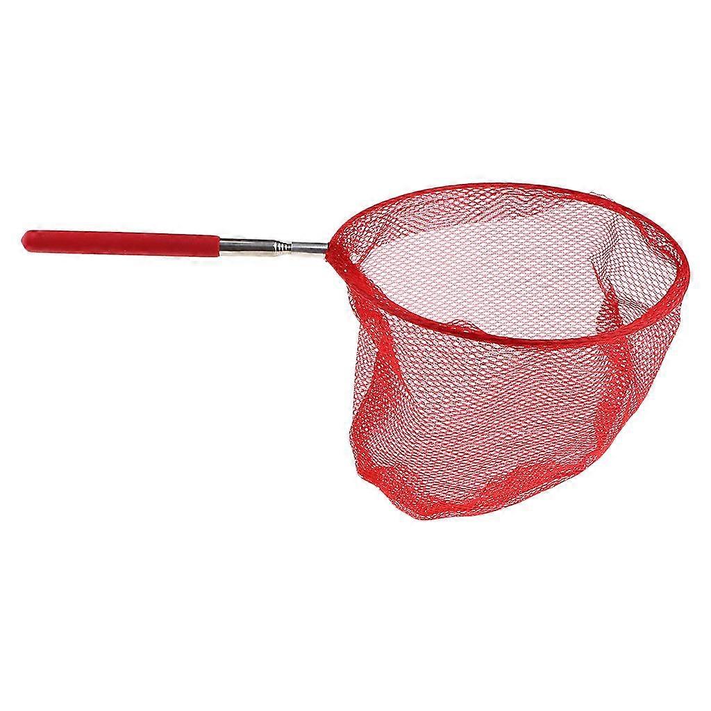 Butterfly Nets - Telescopic Nets for Kids