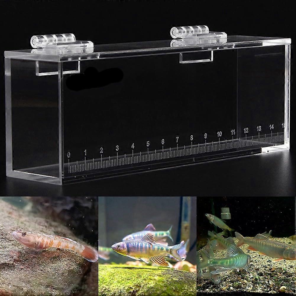 This clear acrylic container is designed to observe your favorite small freshwater species.