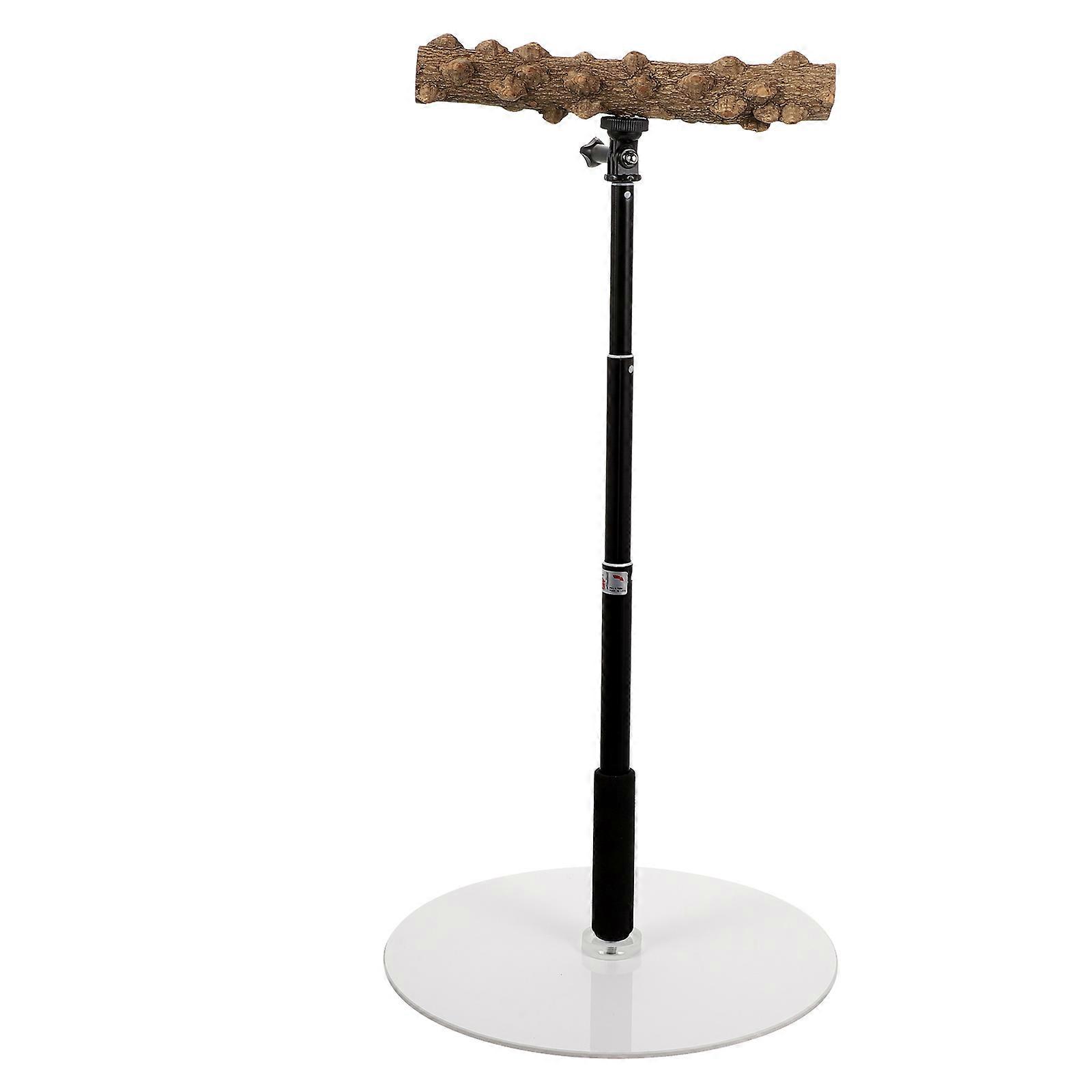 Adjustable Height Bird Perch Stand with Stable Base for Bird Training and Play Multi