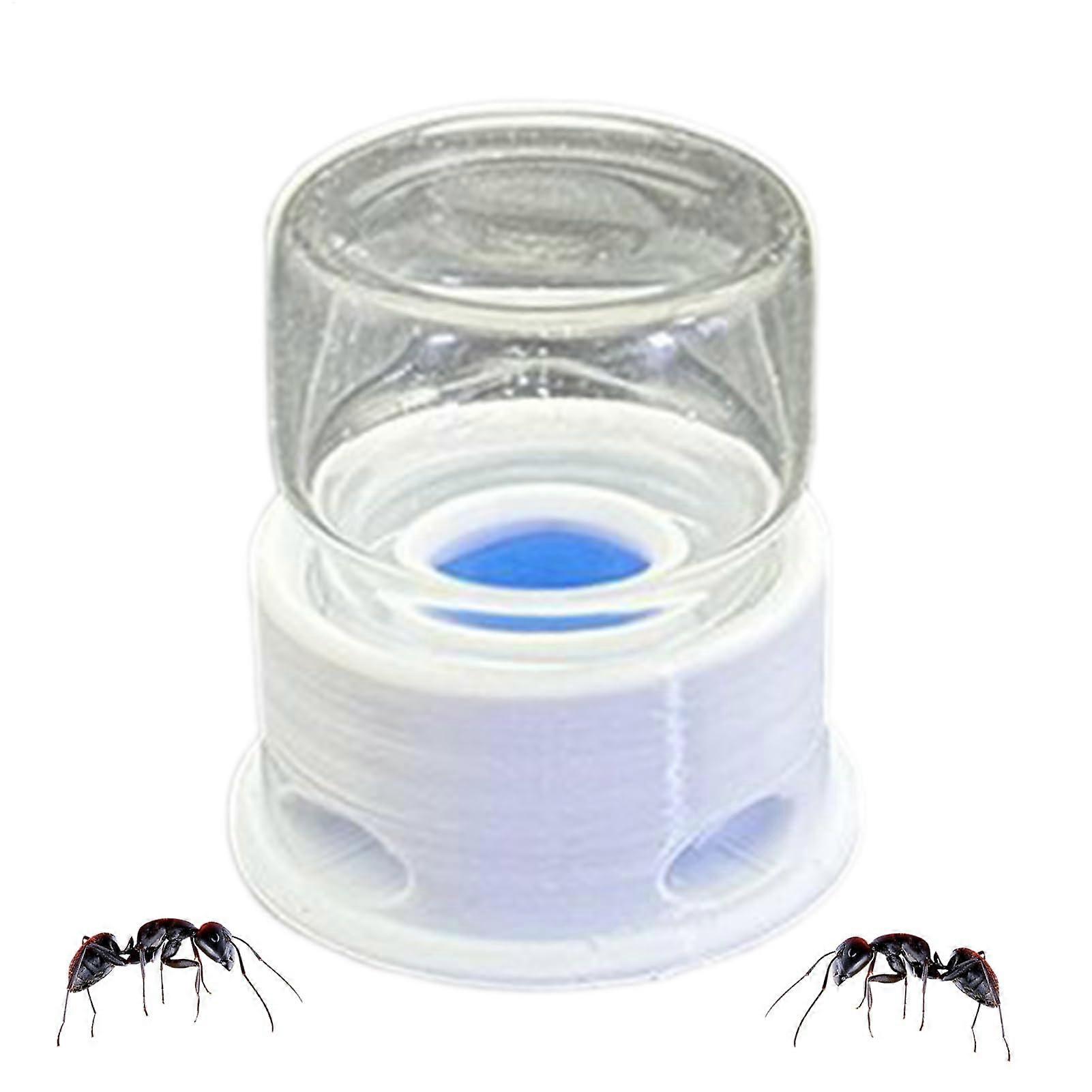 Transparent Ant Feeder - Cricket Water Station, Insect Hydration Station 3.6x3.8 cm, Leak-Proof Design, Easy to Clean