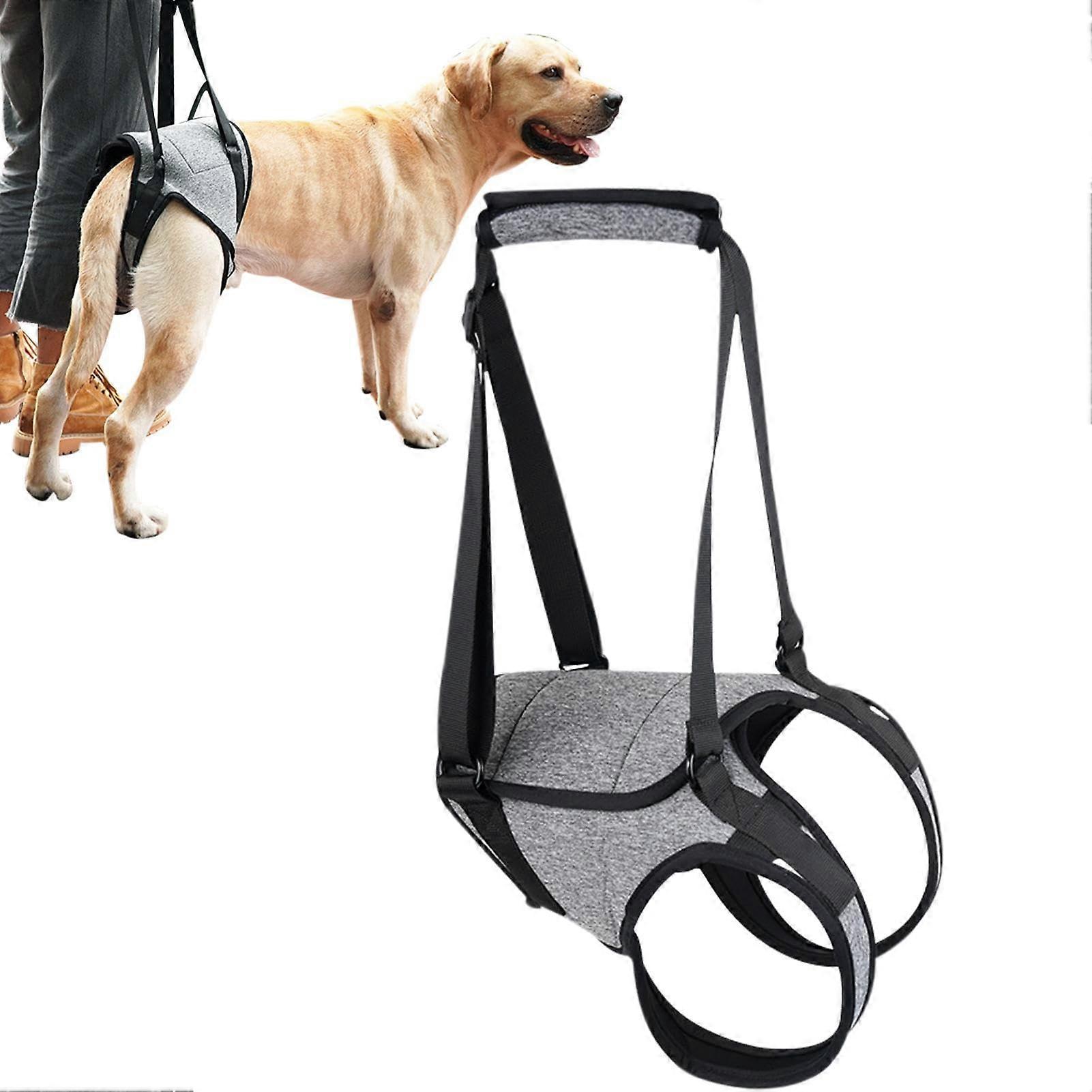 Dog Harness for Lifting Rear Legs, Adjustable Dog Lift Support Harness with Handle Straps, Medium Size, Durable Material
