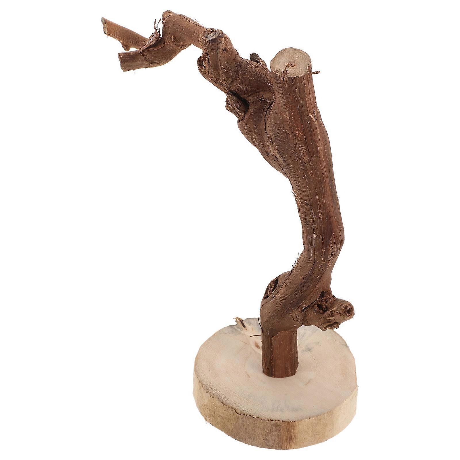 Parrot Perch Stand Wooden Bird Training Stand with Base