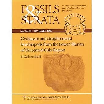 Orthacean und Strophomenid Brachiopods aus dem Niedersilur (Fossilien und Strata Monographie S.)