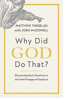 Why Did God Do That by Matthew Tingblad Paperback Book