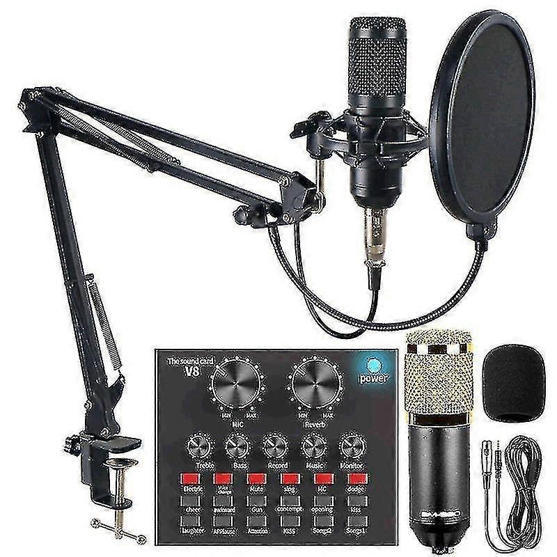 Professional Recording Studio Audio Interface Recording External Live Karaoke Microphone V8 Sound Ca