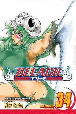 Bleach Vol. 34