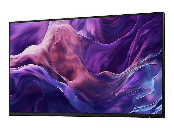 DELL Dell 24 Monitor