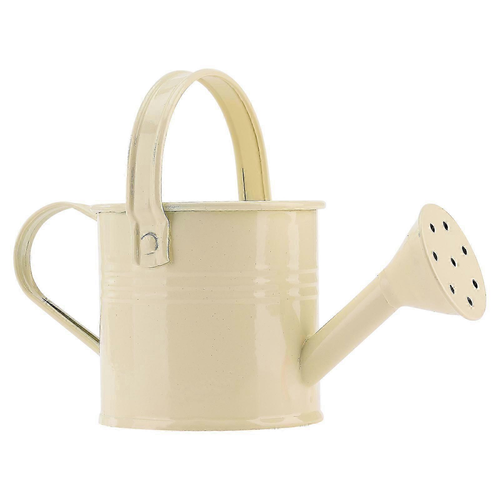 100٪ جديد ، سقي الحديد الصغير يمكن رش زجاجة معدنية مشغول مع مقبض رش دش