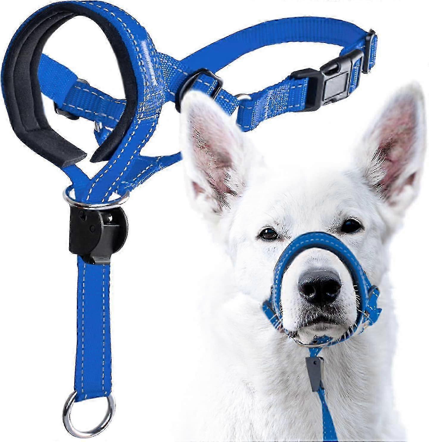 小型犬、中犬、大型犬用反射安全ストラップ付きノープル犬用ヘッドホルター - ブルー