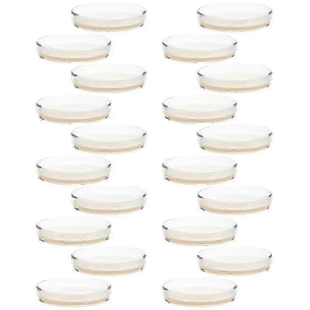 Zwanzig Stück Petrischalen mit vorgegossenen Agarplatten, Zubehör für wissenschaftliche Experimente