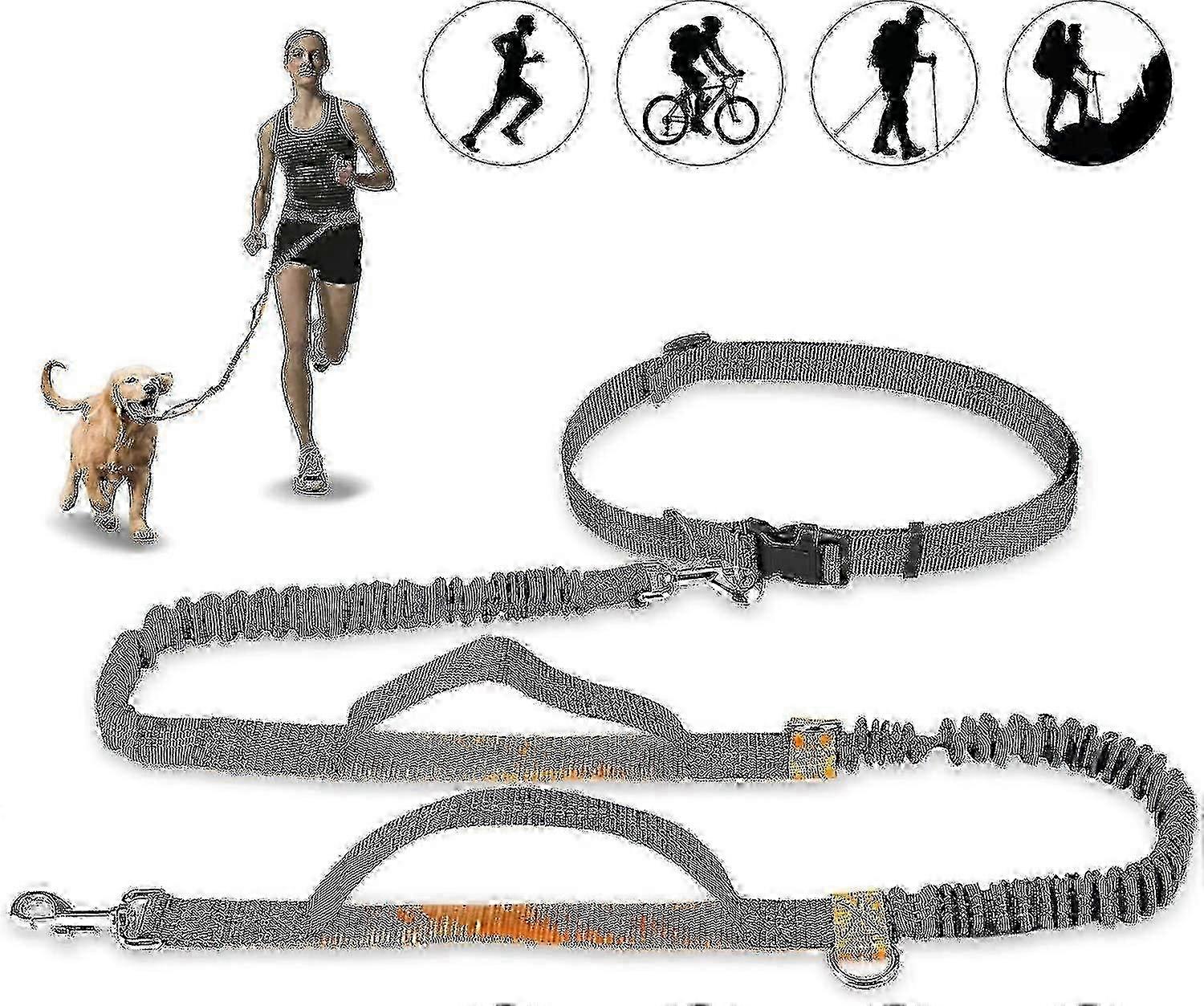 Hands-Free Dog Leash, Adjustable Elastic Jogging Leash for Various Breeds2025