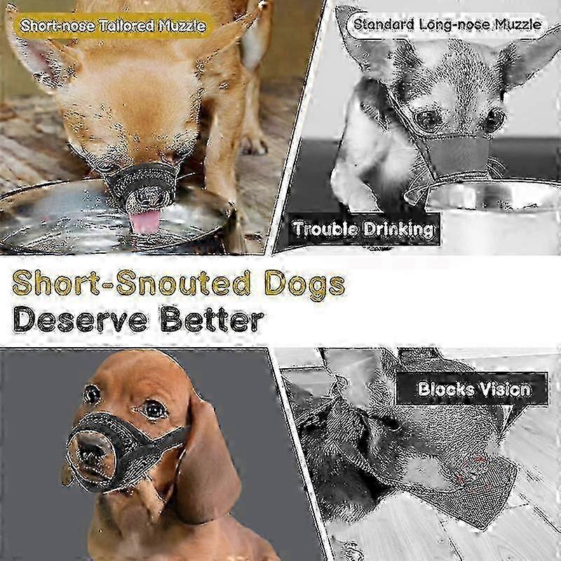 كمامة شبكية للكلاب ذات الخطم القصير - مضاد للعض للسلالات الصغيرة المتوسطة مثل الشيواوا ، صغير طويل الشعر ، العضدية الرأسية