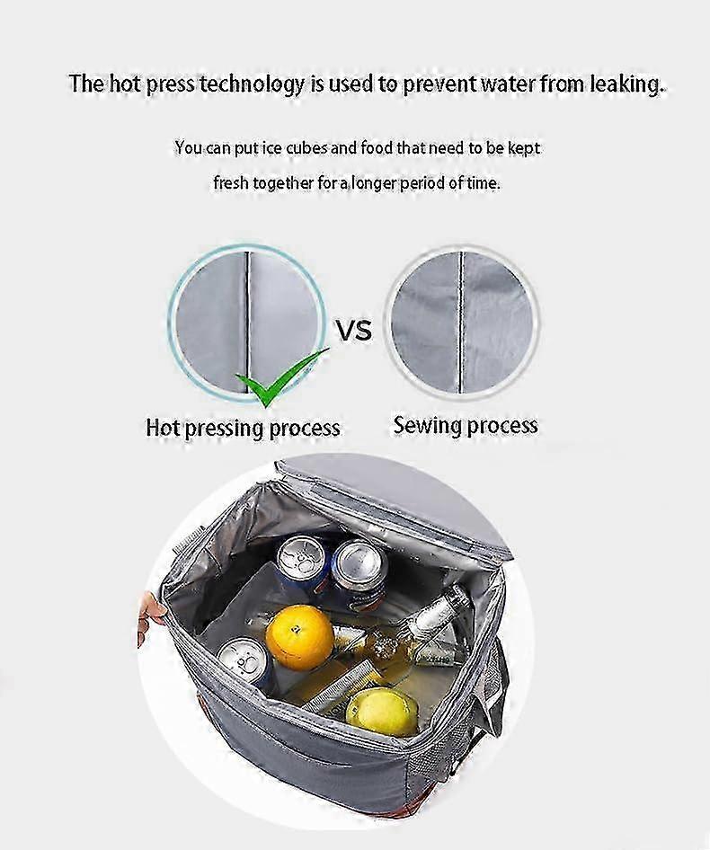 26-27 Insulated Lunch Bag for Work Large Size